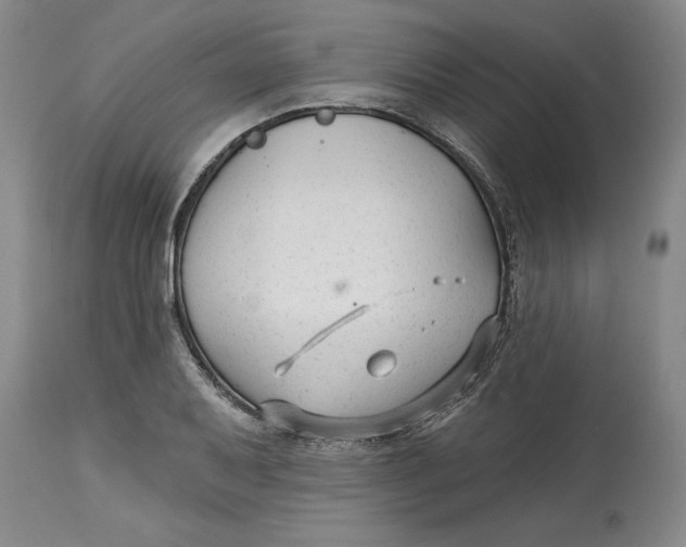 X0000114691079200911121513