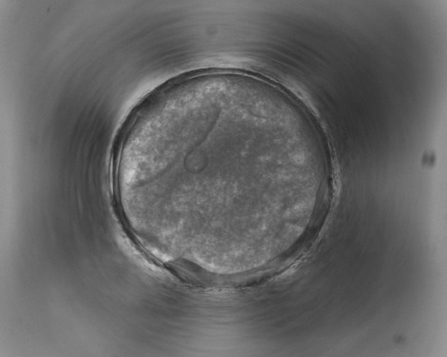 X0000114691080200911121513