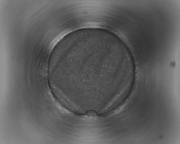 X0000114691081200911121513