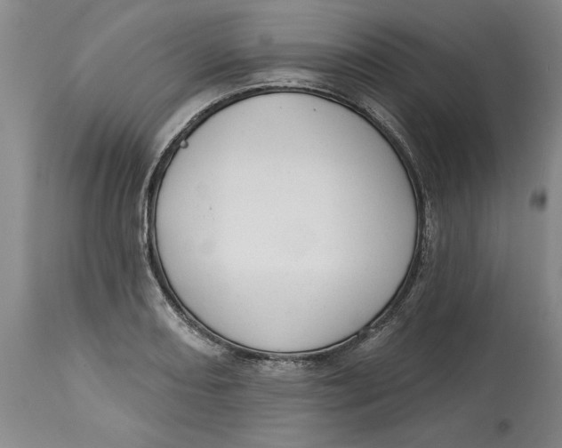 X0000114691082200911121513