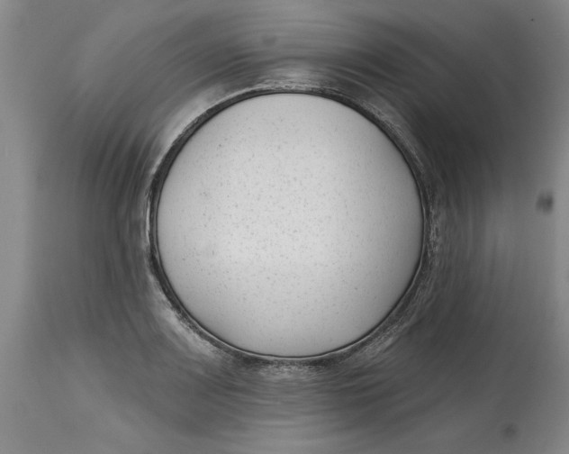 X0000114691083200911121513