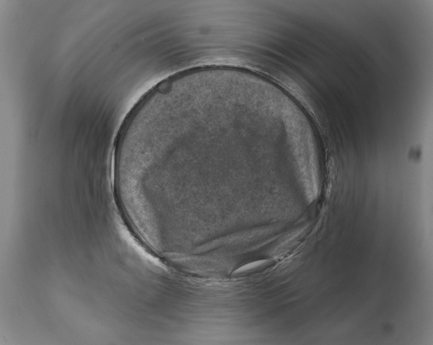 X0000114691084200911121513