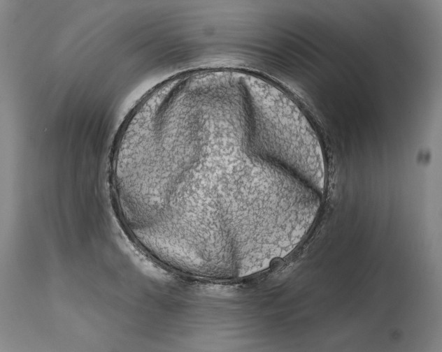 X0000114691086200911121513