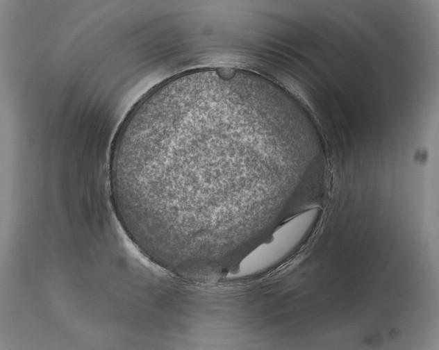 X0000114691087200911121513