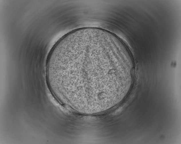 X0000114691088200911121513