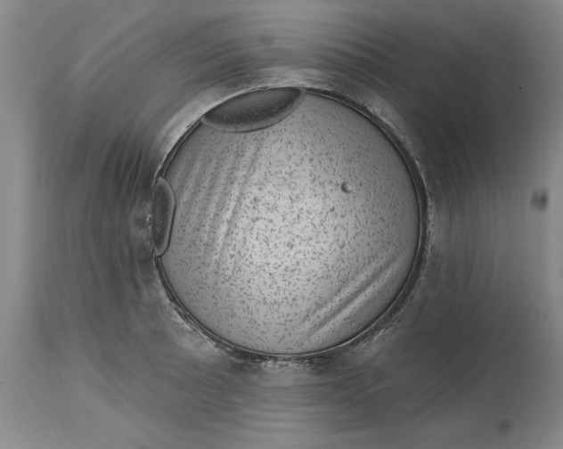 X0000114691089200911121513