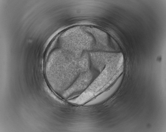 X0000114691092200911121513