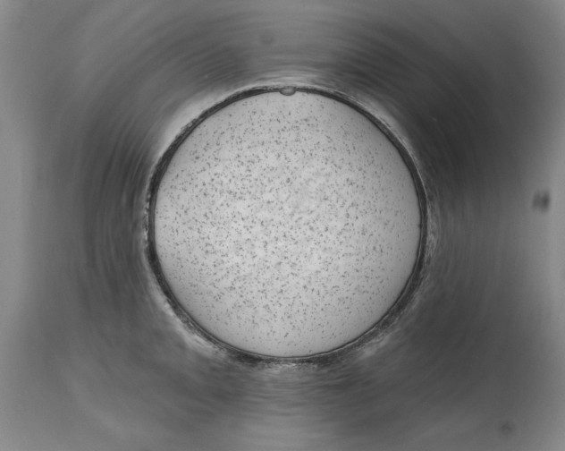 X0000114691093200911121513