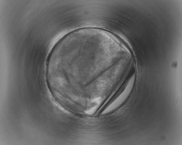 X0000114691096200911121513