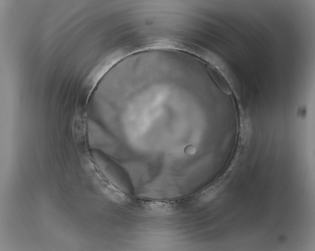 X0000114691097200911121513