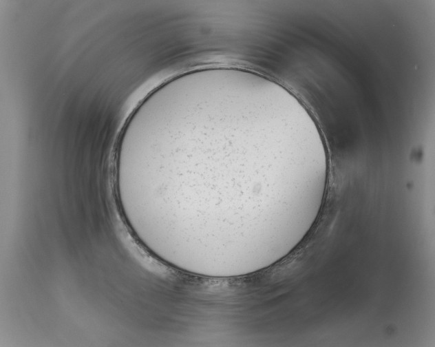 X0000114691098200911121513