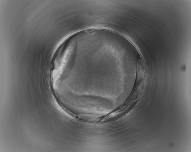 X0000114691100200911121513