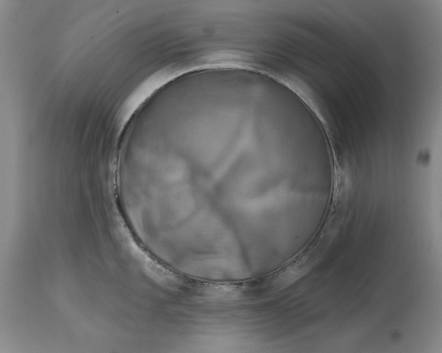 X0000114691101200911121513