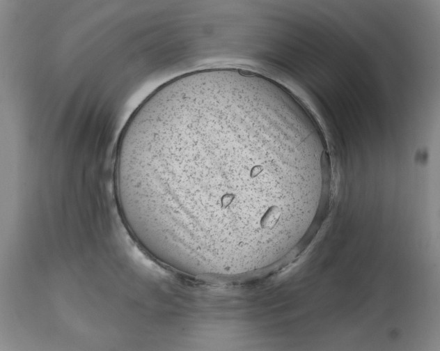 X0000114691102200911121513