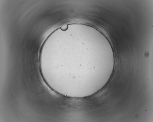 X0000114691103200911121513