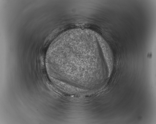 X0000114691106200911121512