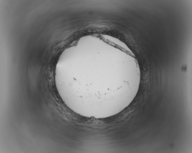 X0000114691109200911121512