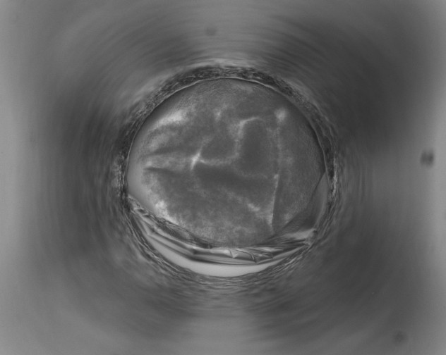 X0000114691110200911121512