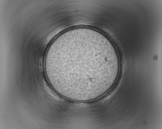 X0000114691113200911121512