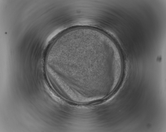 X0000114691114200911121512