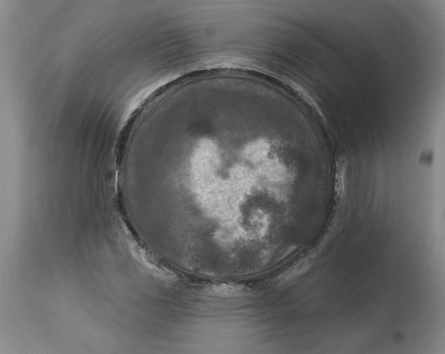 X0000114691117200911121512