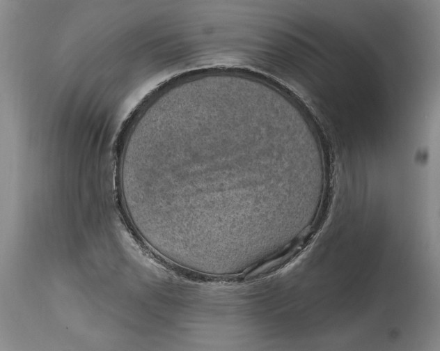 X0000114691118200911121512