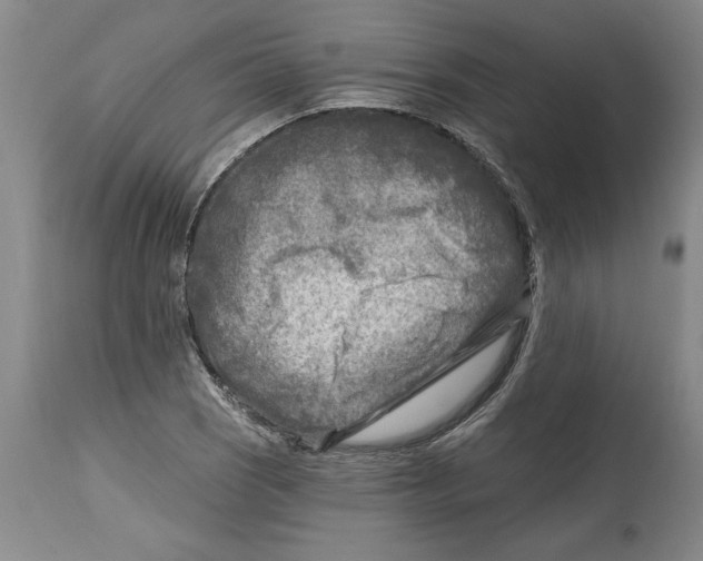 X0000114691121200911121512