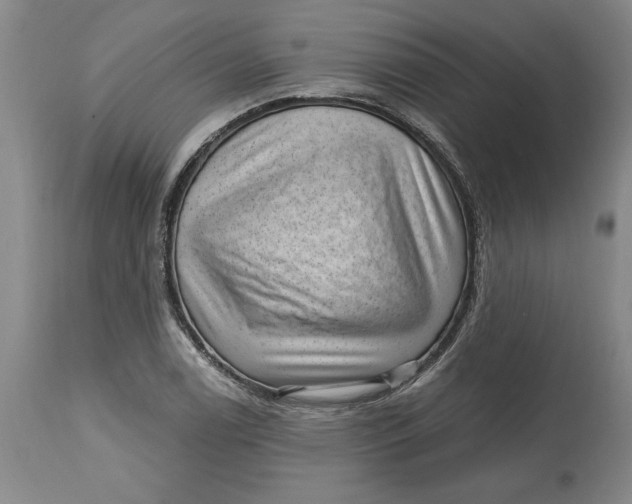 X0000114691122200911121512