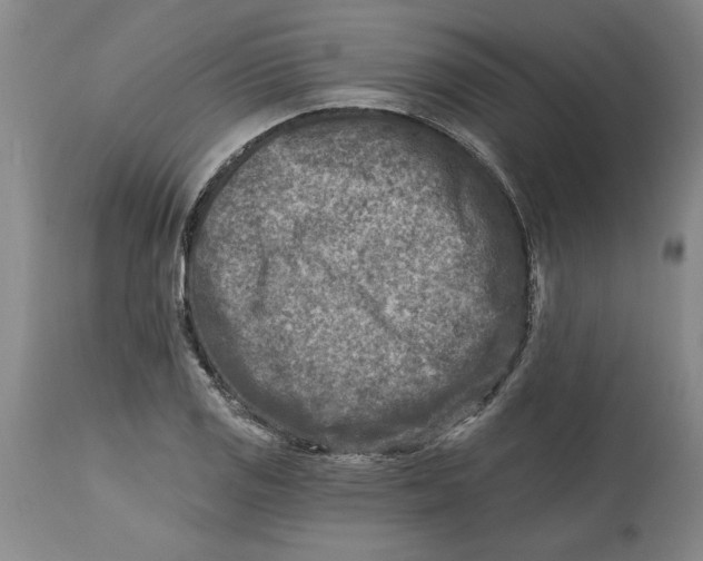 X0000114691125200911121512