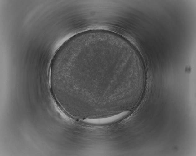 X0000114691127200911121512