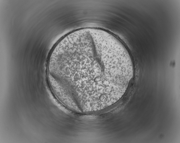 X0000114691134200911121512