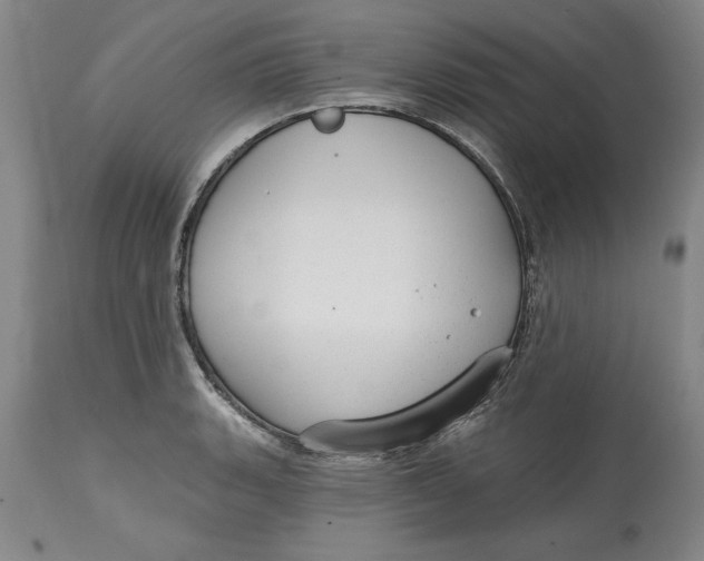 X0000114691135200911121512