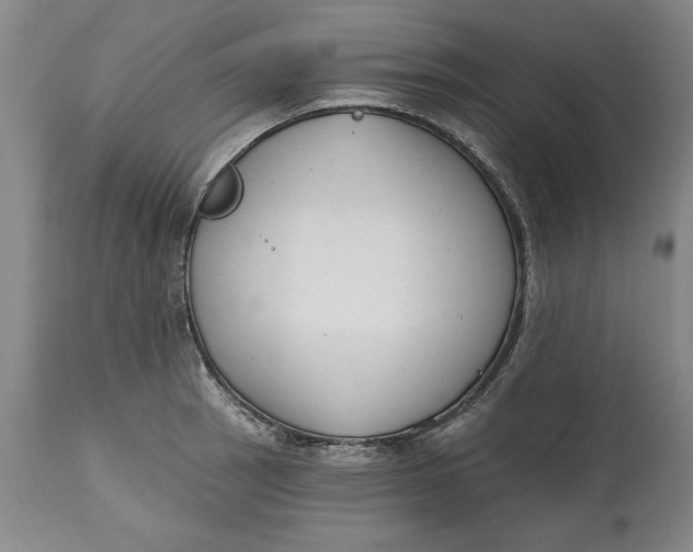 X0000114691137200911121512