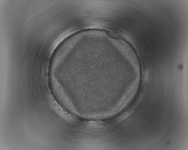 X0000114691138200911121513