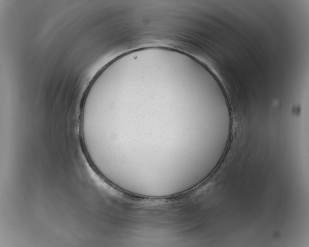 X0000114691143200911121513