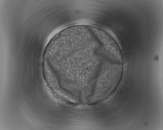 X0000114691146200911121513