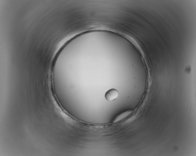 X0000114691149200911121513