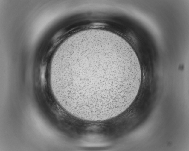 X0000114691150200911121513