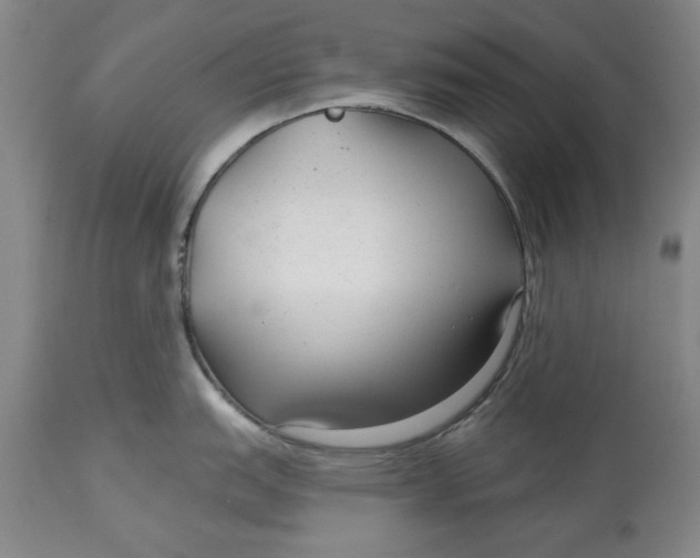 X0000114691151200911121513