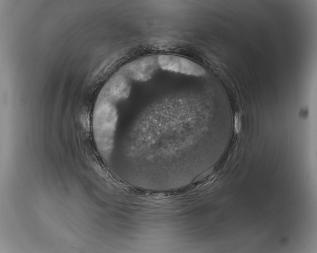 X0000114691155200911121512