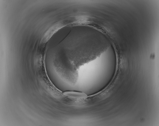 X0000114691161200911121512