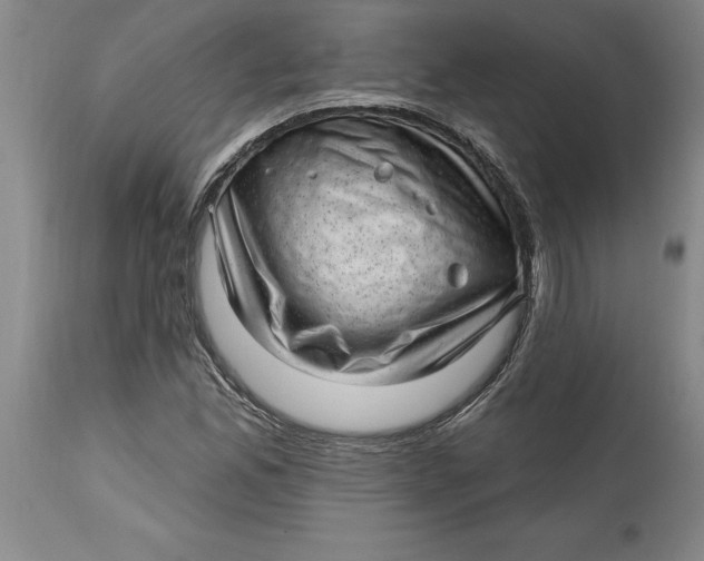 X0000114691165200911121512