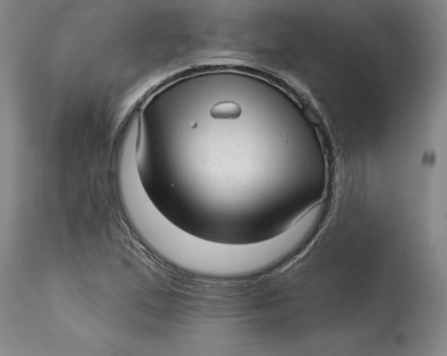 X0000114691167200911121512