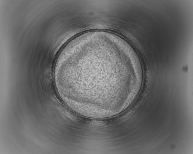 X0000114691170200911121512