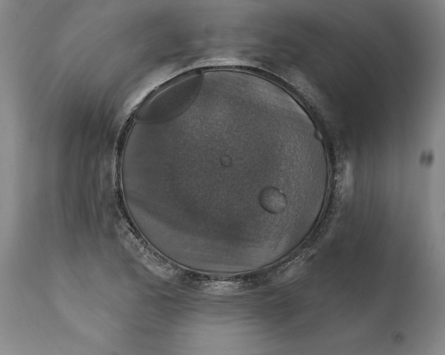 X0000114691173200911121512