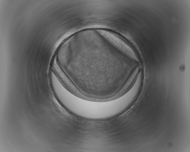 X0000114691181200911121512