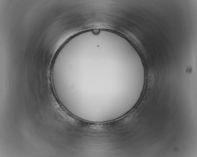 X0000114691182200911121512