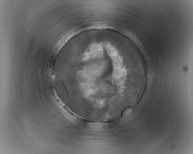 X0000114691185200911121512