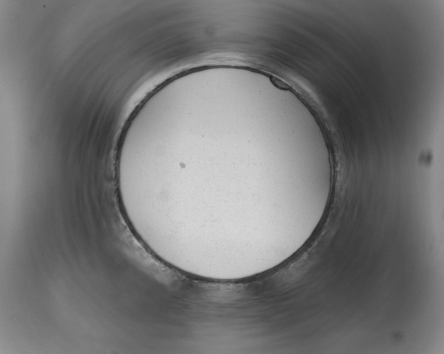 X0000114691192200911121511