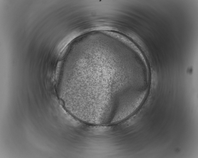 X0000114691193200911121511